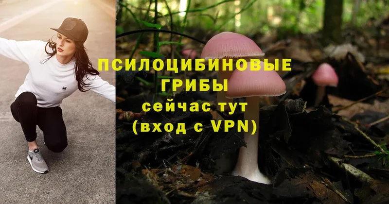 маркетплейс официальный сайт  Лакинск  Галлюциногенные грибы Psilocybe  купить закладку 